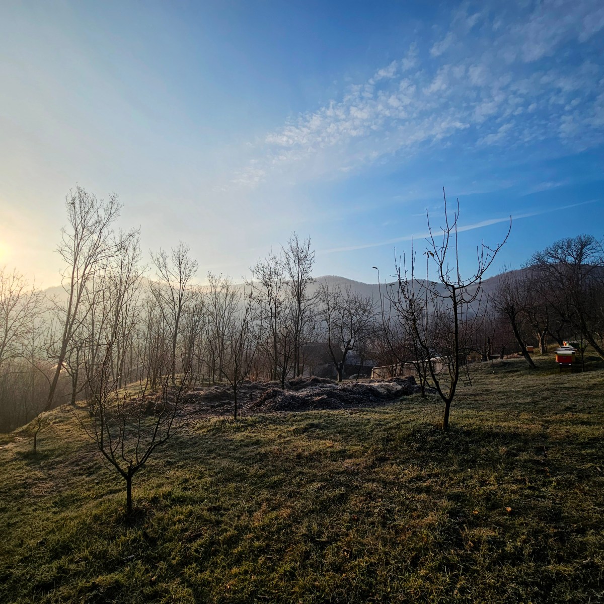 33 bits of unsolicited&nbsp;advice