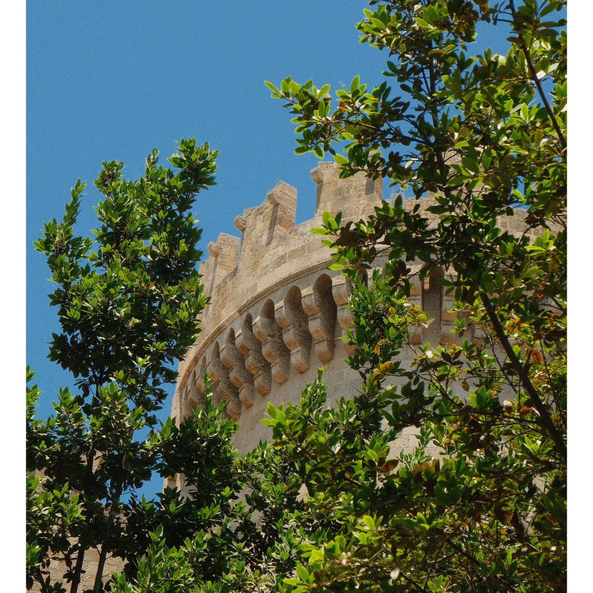Photo Set 4/2026 –&nbsp;Rhodes