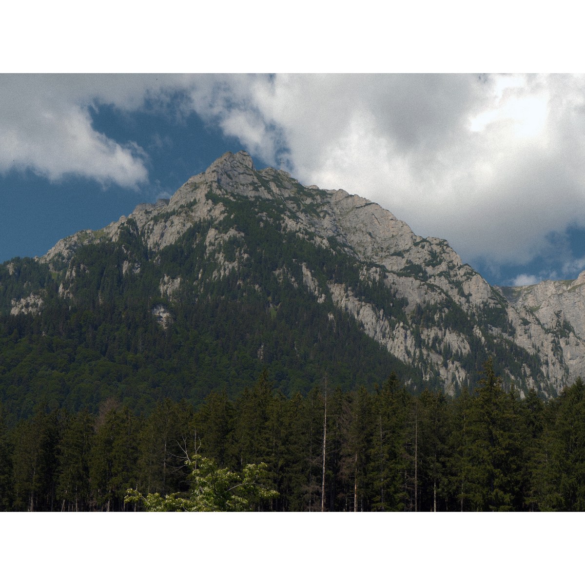 Photo Set 6/2026 – Back in the&nbsp;Carpathians