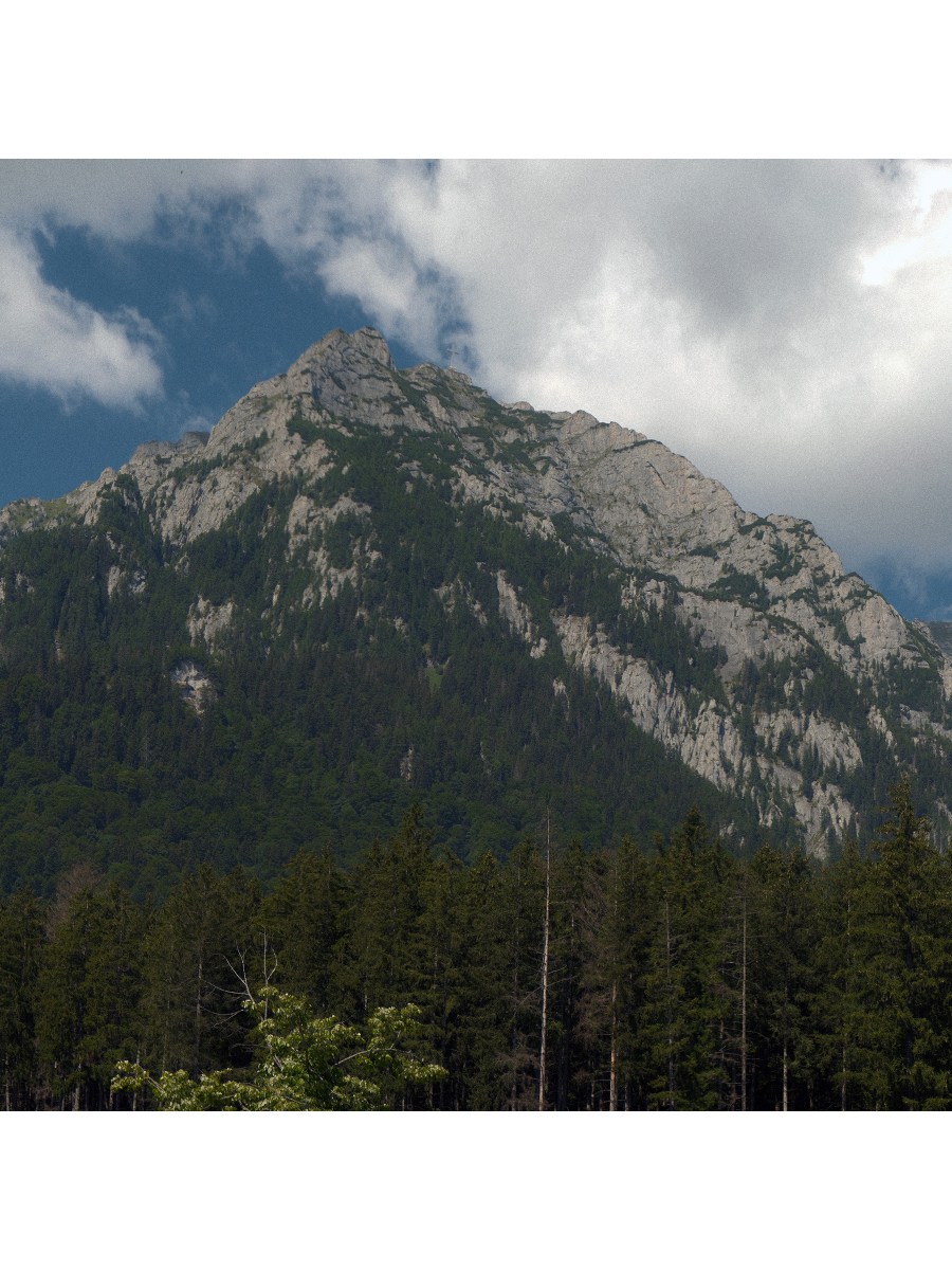 Photo Set 6/2026 – Back in the&nbsp;Carpathians